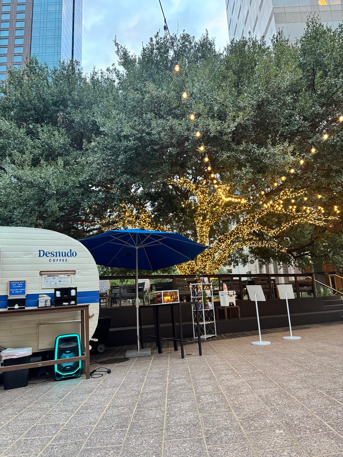 Desnudo Coffee: Downtown