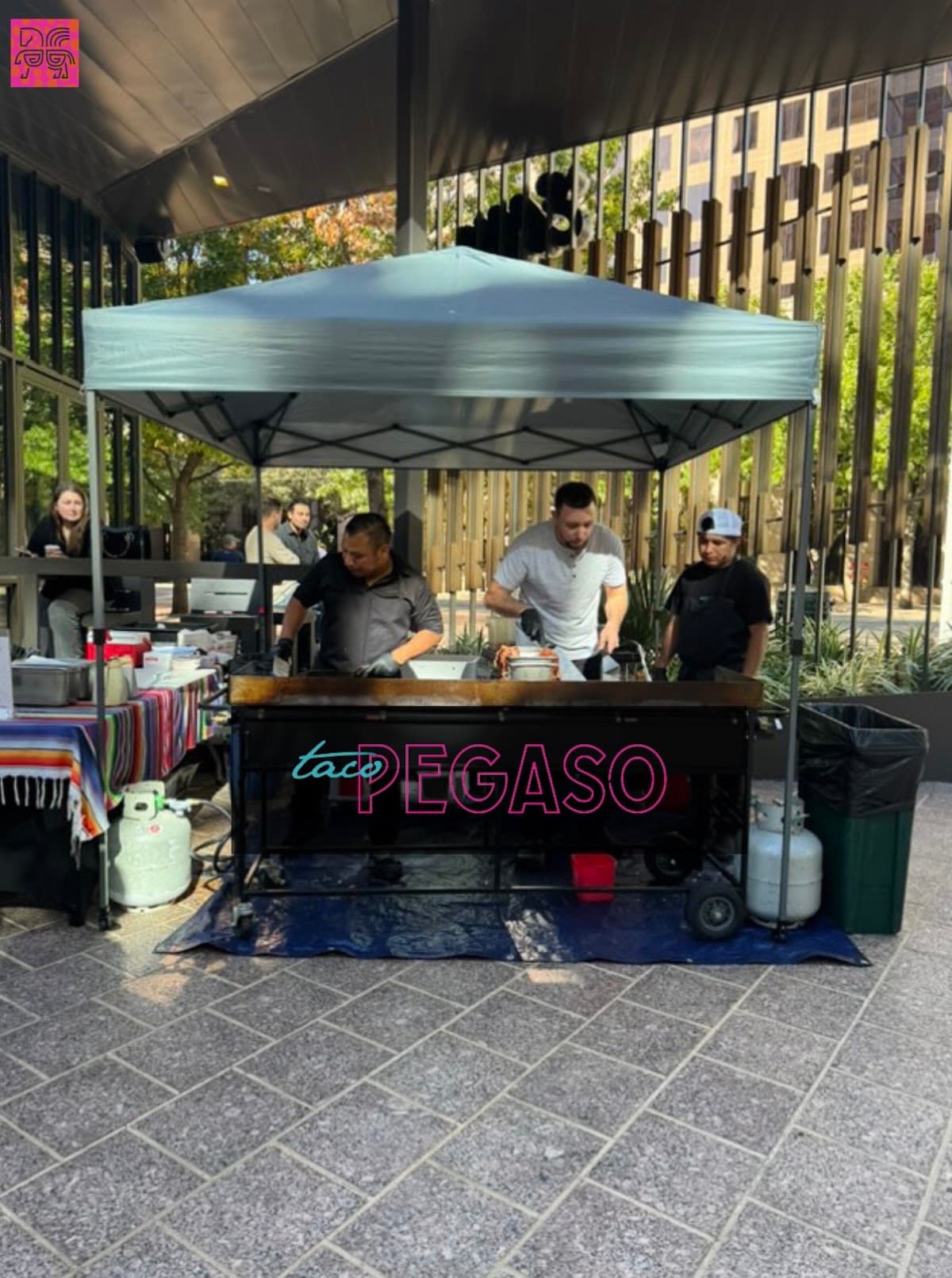 Taco Pegaso