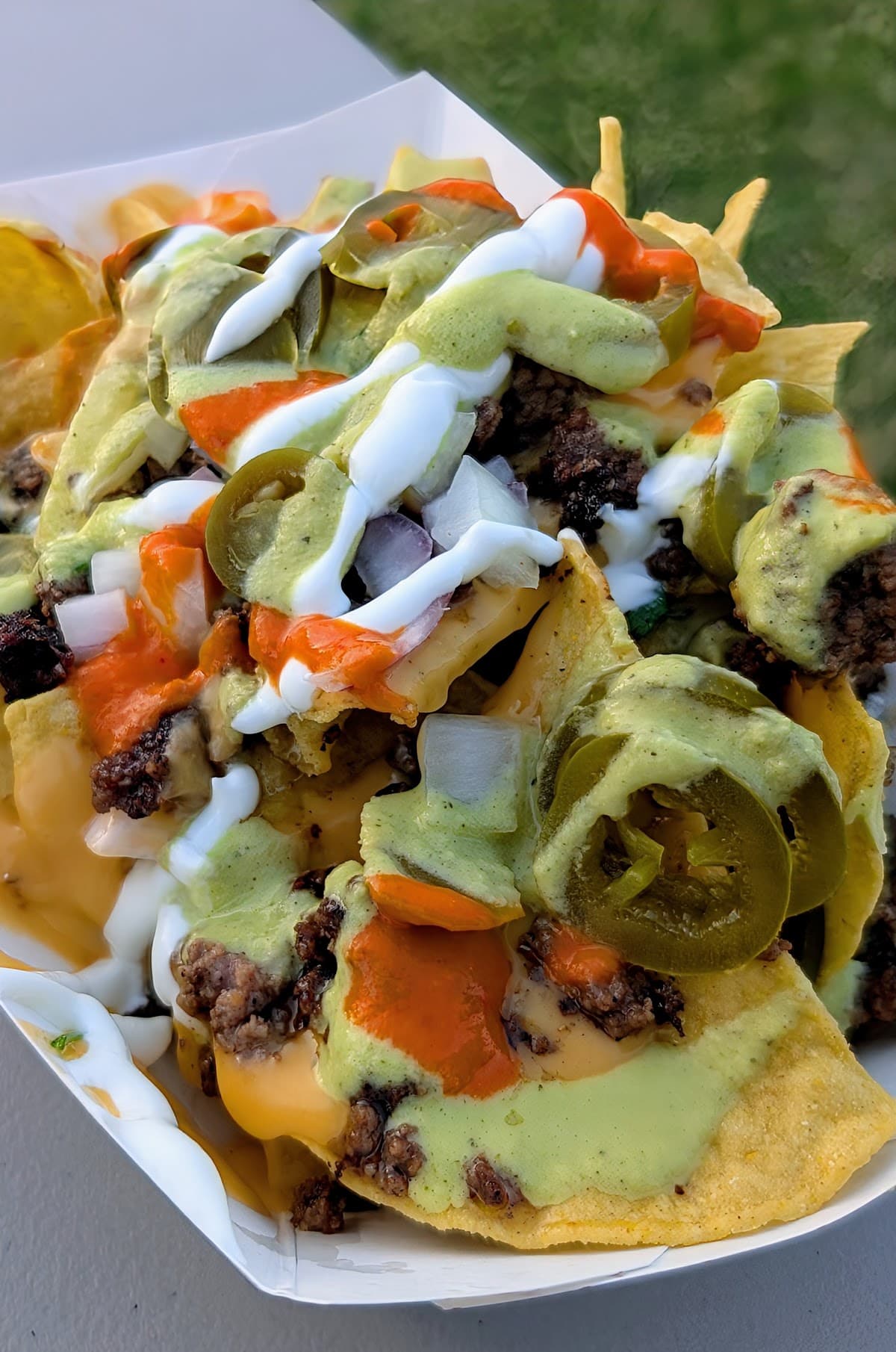 Taco Baby